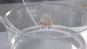 vial filling with cdv vacuum chamber